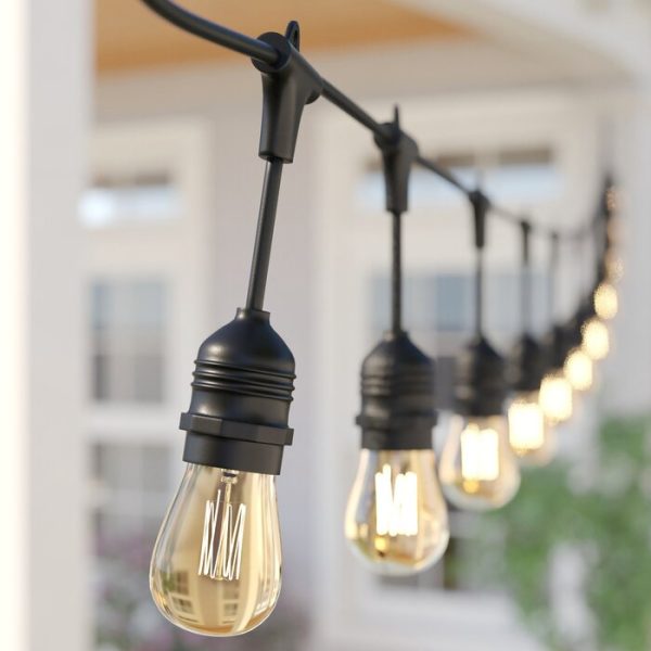 Georgetta 48  Outdoor 15 - Bulb Standard String Light #1886HW For Sale